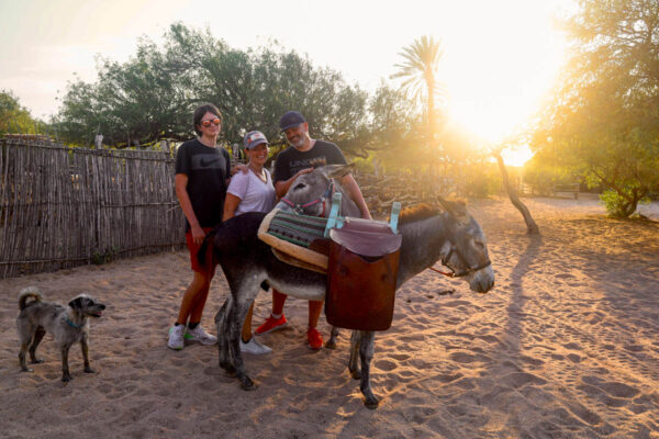 Donkey Tour in Los Cabos-2