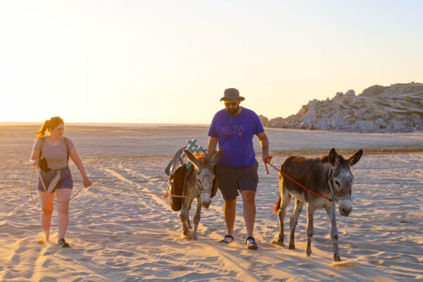 Donkey Tour in Los Cabos-4