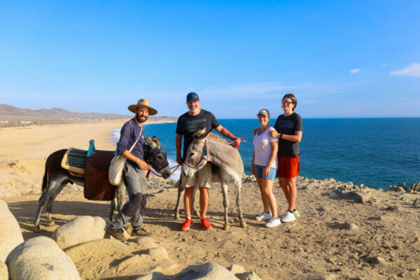 Donkey Tour in Los Cabos
