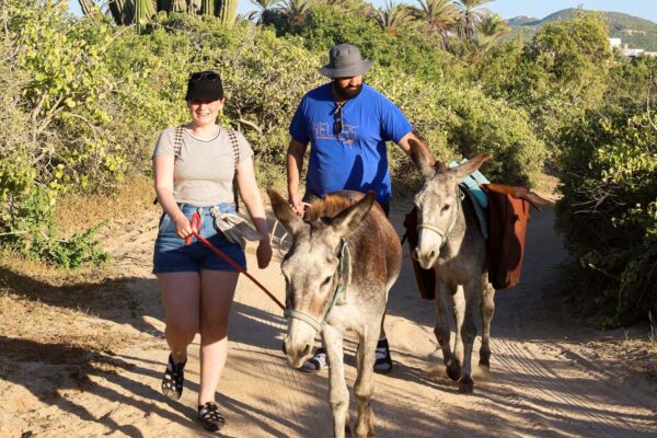 Los Cabos Donkey Tour-7