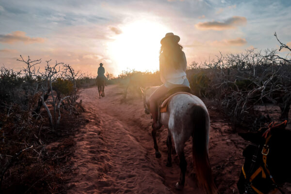 Los Cabos Horseback Riding Tour-1