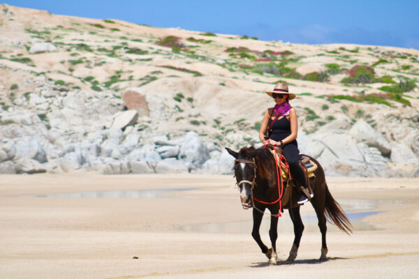 Los Cabos Horseback Riding Tour-10