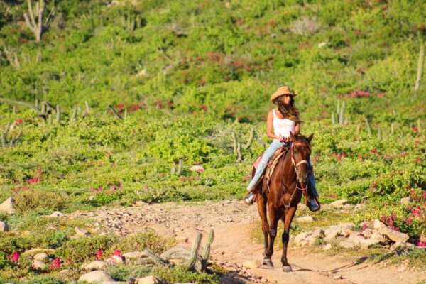 Los Cabos Horseback Riding Tour-12