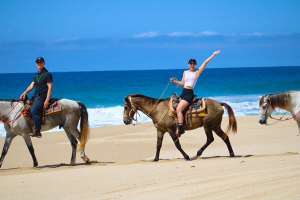 Los Cabos Horseback Riding Tour-3