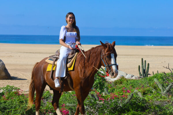 Los Cabos Horseback Riding Tour-6